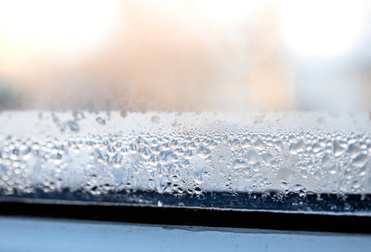 Photograph of a window from the inside looking out with ice and condensation 