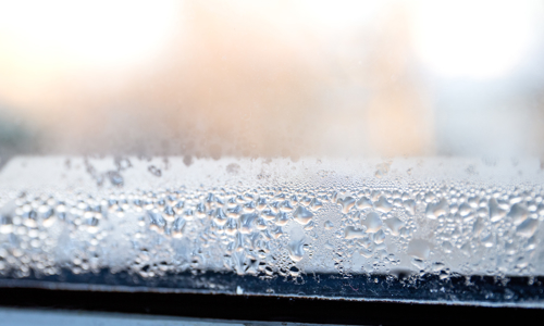Photograph of a window from the inside looking out with ice and condensation